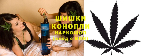 гидра Зеленокумск