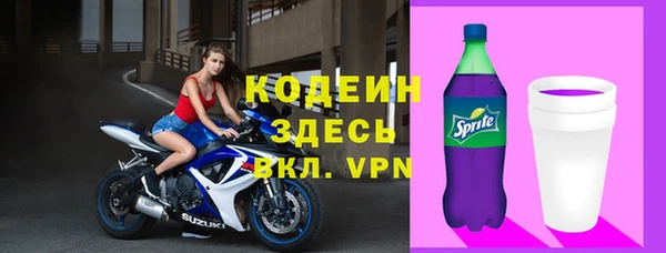 прущие грибы Заволжск
