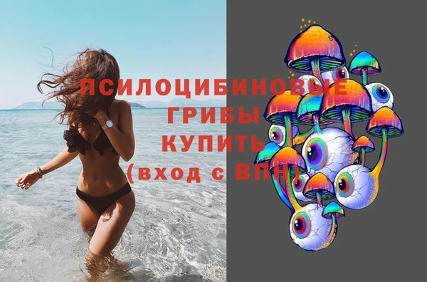 гидра Зеленокумск