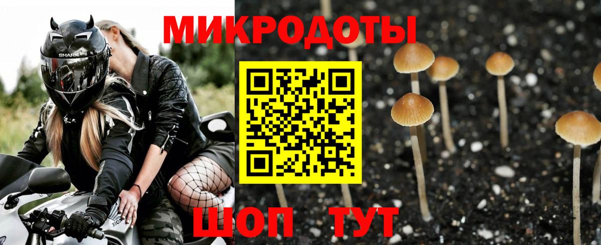Галлюциногенные грибы Psilocybe  Галлюциногенные грибы ЛСД  Вход с VPN  Карасук 