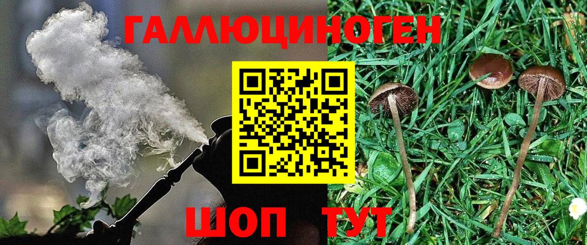 Галлюциногенные грибы мицелий Карасук